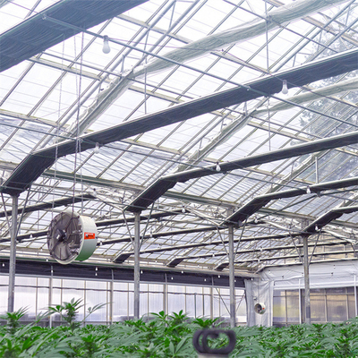 Turnkey Project Usa Tunnel Automatic Blackout Greenhouse Agricultural Plant Growing