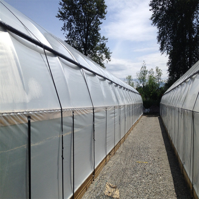 Tunnel Film Automatic Blackout Greenhouse Hydroponic American Agriculture Light Dep