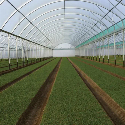 Clear Multi Span Greenhouse Light Deprivation Blackout Greenhouse
