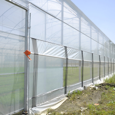 Polyethylene Plastic Film Multi Span Greenhouse With Automatic Water Irrigation