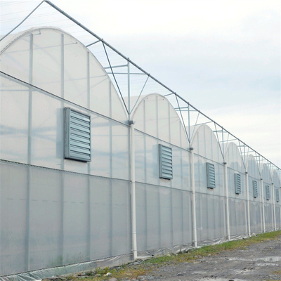 Clear 200 Micron PE Film Agricultural Greenhouse Multi Span Greenhouse