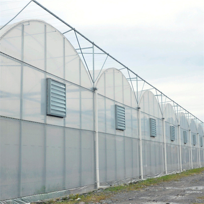 Polyethylene Plastic Film Multi Span Greenhouse With Automatic Water Irrigation