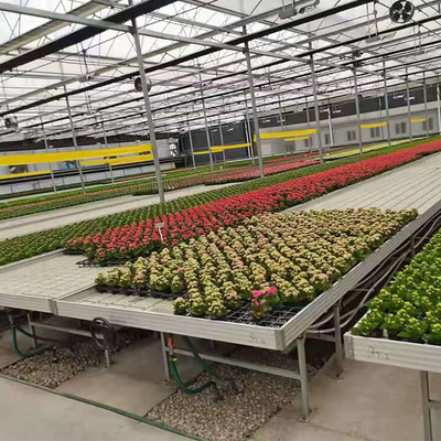 Vegetables Ebb And Flow Tray Seeding Bed Greenhouse Rolling Benches