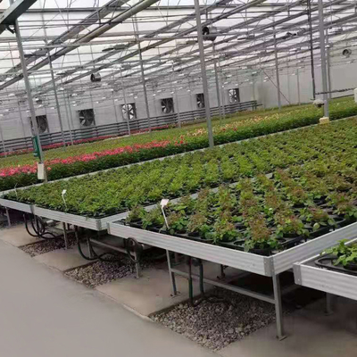 Silver Custom Greenhouse Benches Movable Seedling Bed Rolling Breeding