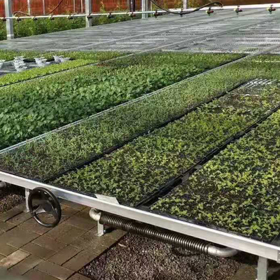 Silver Custom Greenhouse Benches Movable Seedling Bed Rolling Breeding