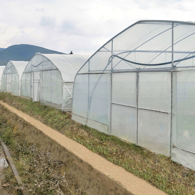 Commercial Climate Control Cooling System Single Tunnel Greenhouse For Agriculture Farming