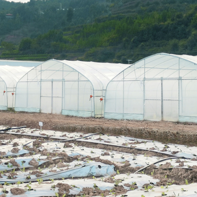 Commercial Climate Control Cooling System Single Tunnel Greenhouse For Agriculture Farming