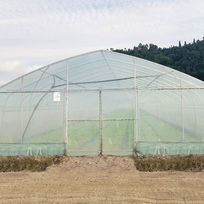 Hydroponic System Steel Frame Arch Plastic Film Poly Tunnel Greenhouse For Tomato