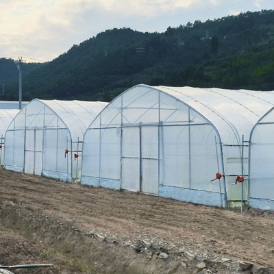 Hydroponic System Steel Frame Arch Plastic Film Poly Tunnel Greenhouse For Tomato
