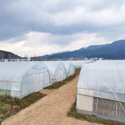 Poly Tunnel Single Layer UV Protected Polyethylene Plastic Green Houses For Agriculture