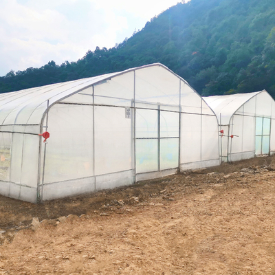 Galvanized Steel Frame Structure Pipe Pe Po UV Plastic Film Vergetables Single-span Greenhouse