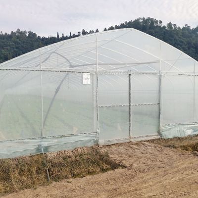 Galvanized Steel Frame Structure Pipe Pe Po UV Plastic Film Vergetables Single-span Greenhouse