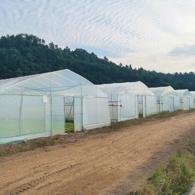 Hot Galvanized Steel Frame Tropical Fruit Grow Greenhouse Commercial Greenhouses For Sale