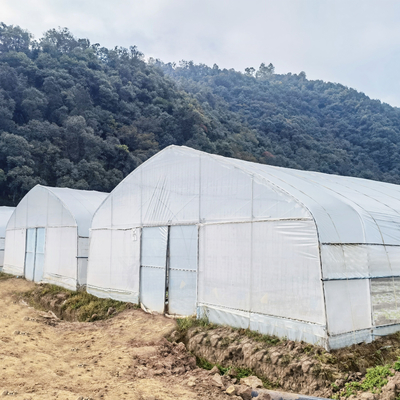 Hot Galvanized Steel Frame Tropical Fruit Grow Greenhouse Commercial Greenhouses For Sale