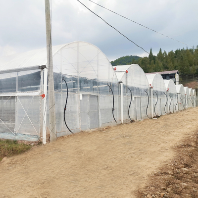 Turnkey Projects Installed Commercial Hydroponic Plastic Film Green House Multi-span Agricultural Greenhouses