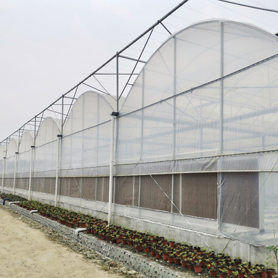 Large Commercial Poly Film Arch Tunnel Multispan Type Tomato Hydroponics Greenhouse