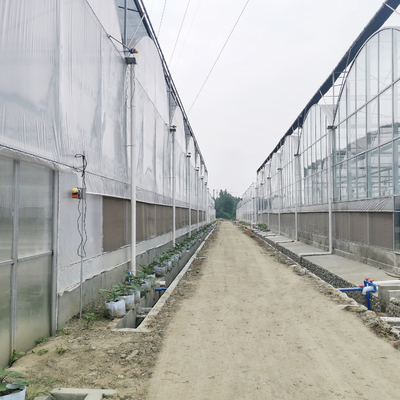 High Tunnel Large Green House Agricultural Greenhouse Hydroponic Multi-Span Greenhouses
