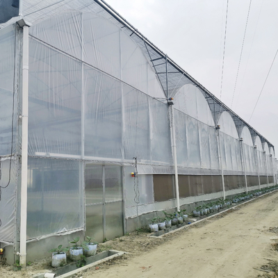 Hydroponic Growing Systems Greenhouse Low Cost Greenhouse Agriculture Plastic Greenhouse