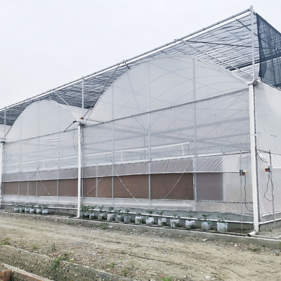 Large Commercial Poly Film Arch Tunnel Multispan Type Tomato Hydroponics Greenhouse