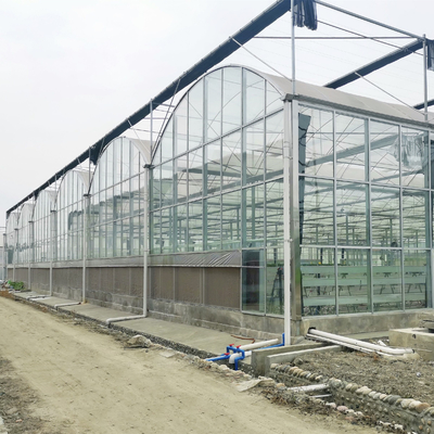 Hydroponics Tomato Cucumber Flower Film Arch Automatic Multispan Glass Greenhouse