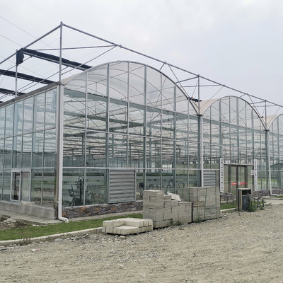Hydroponics Tomato Cucumber Flower Film Arch Automatic Multispan Glass Greenhouse
