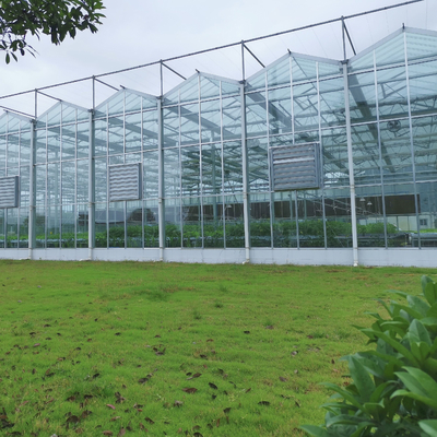 Agriculture Flower Greenhouse Glass Industrial Outdoor Multispan Glass Professional Dutch Greenhouse For Flower Planting