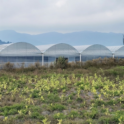 High Tunnel Large Green House Agricultural Greenhouse Hydroponic Multi-Span Greenhouses