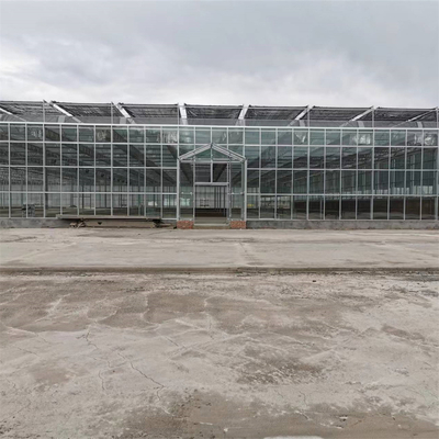 Complete Vegetables Growing Multi-span Greenhouse Fiberglass Glass Agricultural Greenhouse