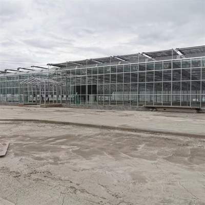 Complete Vegetables Growing Multi-span Greenhouse Fiberglass Glass Agricultural Greenhouse