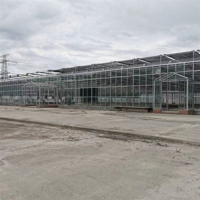 Complete Vegetables Growing Multi-span Greenhouse Fiberglass Glass Agricultural Greenhouse