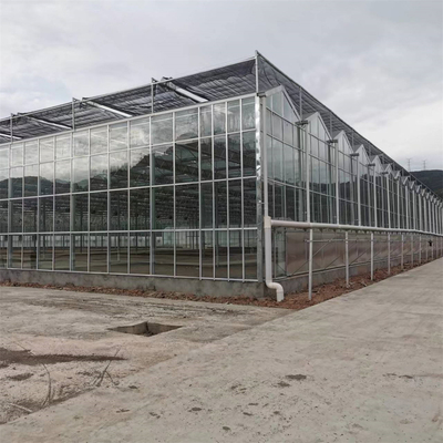 Complete Vegetables Growing Multi-span Greenhouse Fiberglass Glass Agricultural Greenhouse