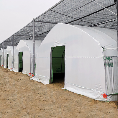 Agriculture Chinese Organic Mushroom Management Greenhouse Single-Span Greenhouses