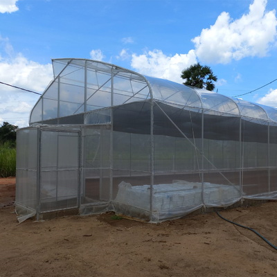 150 200 Micron Commercial Sustainable Greenhouse Farming Modern With 1*2m Door