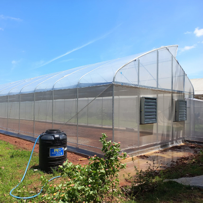 high performance High Tunnel Sawtooth Greenhouse Agricultural ISO9001