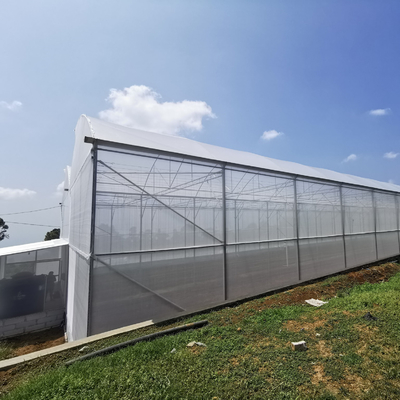 Urban Farming Sawtooth Agricultural Greenhouse Plastic Agri Greenhouse Single Span