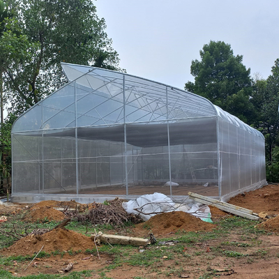 OEM Hydroponic Tunnel Plastic Greenhouse Galvanizing Steel Farm Supply Greenhouse