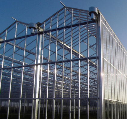 Polycarbonate Hollow Board Glass Industrial Outdoor Multispan Glass Professional Dutch Greenhouse For Flower Planting