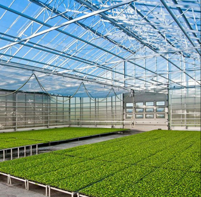 Polycarbonate Hollow Board Glass Industrial Outdoor Multispan Glass Professional Dutch Greenhouse For Flower Planting