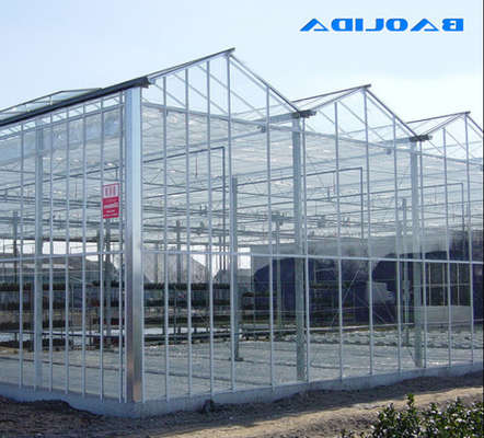Large Size Venlo Glass Greenhouse High Strong Structure ISO9001