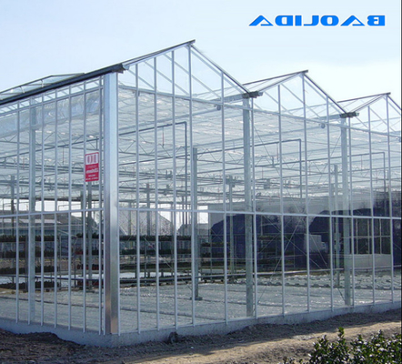 Polycarbonate Hollow Board Glass Industrial Outdoor Multispan Glass Professional Dutch Greenhouse For Flower Planting