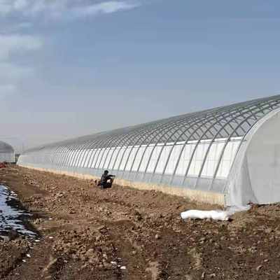 Automatic Plastic Film Solar Passive Greenhouse Support Rainwater Collection