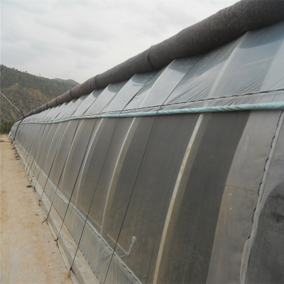 Automatic High Insulated Agricultural Greenhouse With Customized Temperature Control