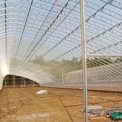 Customized Temperature Control Polytunnel Greenhouses With Solar Energy Cooling System