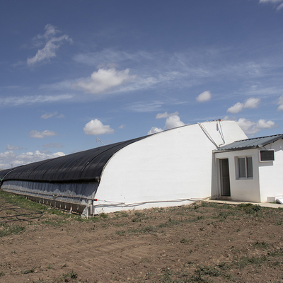 Plastic Film Solar Passive Greenhouse With Rainwater Collection Support