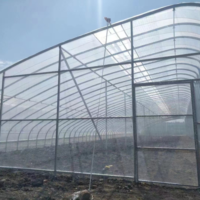 Plastic Film Solar Passive Greenhouse With Rainwater Collection Support