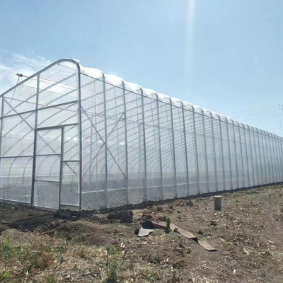 Plastic Film Solar Passive Greenhouse With Rainwater Collection Support