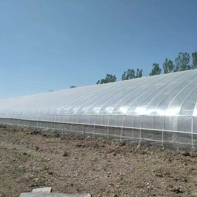 Plastic Film Solar Passive Greenhouse With Rainwater Collection Support