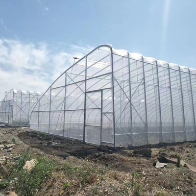 Plastic Film Solar Passive Greenhouse With Rainwater Collection Support