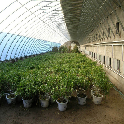 High Insulation Garden Greenhouse With Customized Temperature Control And Size
