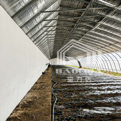 Plastic Film Agricultural Greenhouse With High Insulation Automatic Air Circulation